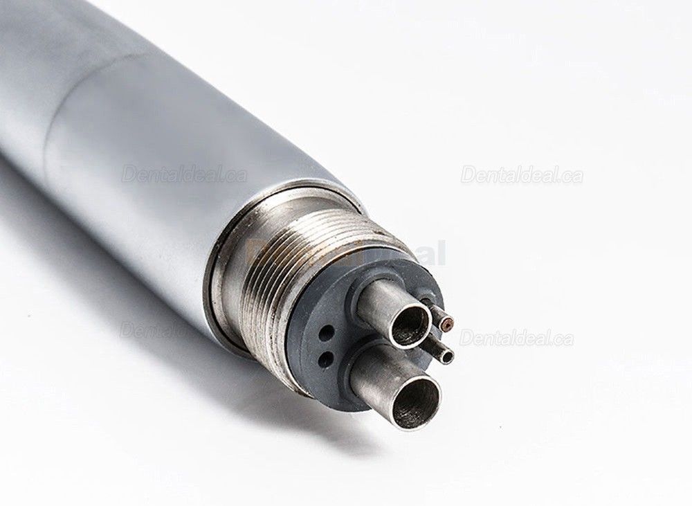 TOSI TX-164 Dental LED High Speed Air Turbine Handpiece 2/4 Holes